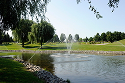 Navigate to Thornton Cemetery