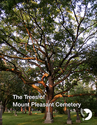 The Trees of Mount Pleasant Cemetery Arboretum Book