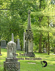 The Trees of Toronto Necropolis Arboretum Book