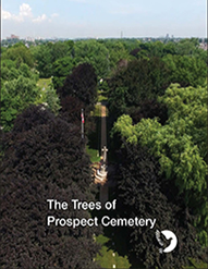 The Trees of Prospect Cemetery Arboretum Book